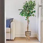 Le Paladium Lejlighed